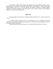 Medienotyra 6 puslapis