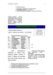 Microsoft Word galimybių tyrimas 3 puslapis