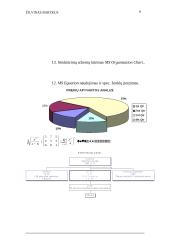 Microsoft Word galimybių tyrimas 6 puslapis