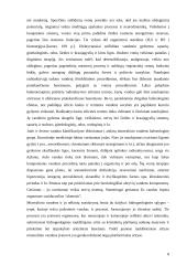 Mineralinio vandens savybės 8 puslapis