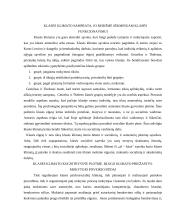 Mokytojas — klasės vadovas 2 puslapis