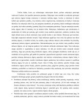 Mokytojas — klasės vadovas 6 puslapis