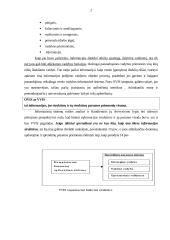 Organizacijos vadybos informacijos sistemos (OVIS) 2 puslapis
