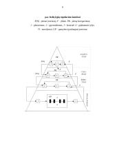 Organizacijos vadybos informacijos sistemos (OVIS) 6 puslapis