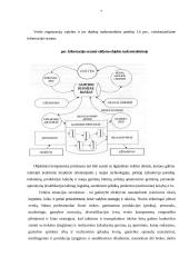 Organizacijos vadybos informacijos sistemos (OVIS) 7 puslapis