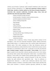 Organizacijos vadybos informacijos sistemos (OVIS) 8 puslapis