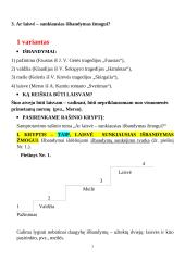 Ar laisvė – sunkiausias išbandymas žmogui? Rašinio analizė