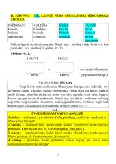 Ar laisvė – sunkiausias išbandymas žmogui? Rašinio analizė 2 puslapis