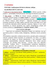 Ar laisvė – sunkiausias išbandymas žmogui? Rašinio analizė 3 puslapis