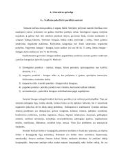 Pagyvenusių ir senų žmonių slaugos poreikiai 3 puslapis