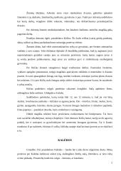 Pagrindinės lietuvių tautos kalendorinės šventės 2 puslapis