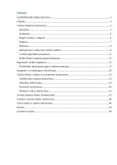 VDV skaičiavimas 2 puslapis