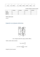 VDV skaičiavimas 20 puslapis