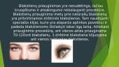 Blakstienų priauginimas 3 puslapis