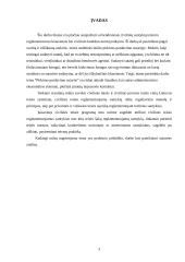 Pirkimo-pardavimo sutarties kontrolinis darbas 3 puslapis