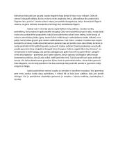 Izaoko portretas ir pasirinkimų motyvai Mero romane „Lygiosios trunka akimirka“ 2 puslapis