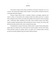 Pirmosios lietuviškos knygos reformacijos laikotarpiu 7 puslapis