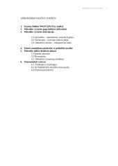 Platelių miestelio plėtros projektas 2 puslapis