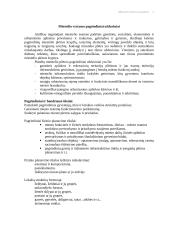 Platelių miestelio plėtros projektas 4 puslapis