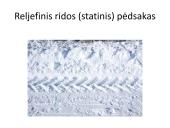 Kriminalistinis mokymas apie pėdsakus (trasologija) 12 puslapis