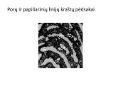 Kriminalistinis mokymas apie pėdsakus (trasologija) 17 puslapis