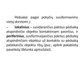 Kriminalistinis mokymas apie pėdsakus (trasologija) 10 puslapis