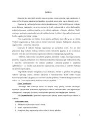 Organizacija ir valdymas 2 puslapis