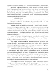 Organizacija ir valdymas 12 puslapis