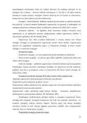 Organizacija ir valdymas 14 puslapis