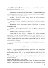 Organizacija ir valdymas 17 puslapis
