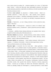 Organizacija ir valdymas 18 puslapis