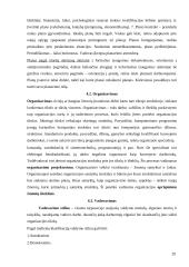 Organizacija ir valdymas 19 puslapis