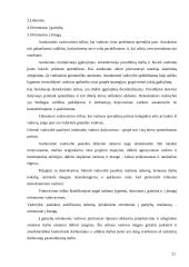 Organizacija ir valdymas 20 puslapis