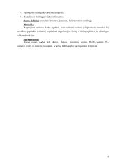 Organizacija ir valdymas 3 puslapis