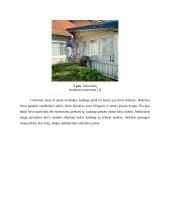 Statybos praktika 5 puslapis