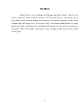 Platonas apie meilę 9 puslapis