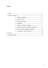 Platoniškosios idealios valstybės teorijos pagrindiniai bruožai 2 puslapis