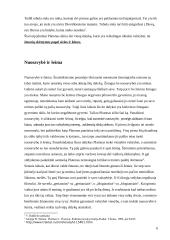 Platoniškosios idealios valstybės teorijos pagrindiniai bruožai 6 puslapis