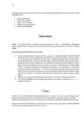 Pastatų konstrukcijų praktiniai darbai  13 puslapis