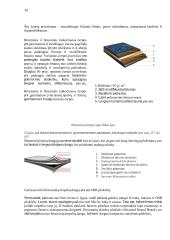 Pastatų konstrukcijų praktiniai darbai  14 puslapis