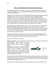 Pastatų konstrukcijų praktiniai darbai  19 puslapis