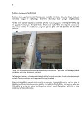 Pastatų konstrukcijų praktiniai darbai  8 puslapis