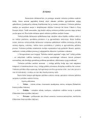 Politikos analizės formos 3 puslapis