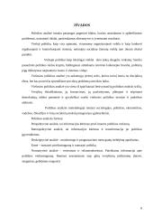 Politikos analizės formos 8 puslapis