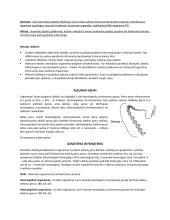 Mejozė, mitozė 3 puslapis