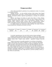 Poreikių hierarchija 3 puslapis