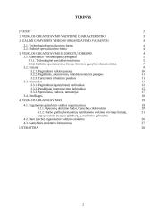 Pramonės gamybinio padalinio organizavimas 2 puslapis