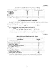Pramonės gamybinio padalinio organizavimas 13 puslapis