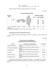Pramonės gamybinio padalinio organizavimas 17 puslapis
