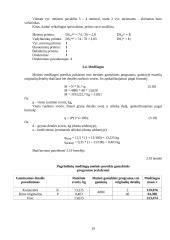 Pramonės gamybinio padalinio organizavimas 19 puslapis